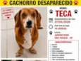 Teca