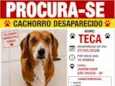Teca