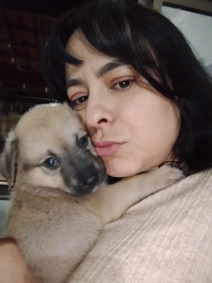 Cachorro raça SRD-ViraLata idade Abaixo de 2 meses nome Duduxo