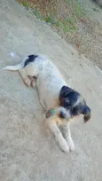 bolt