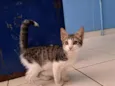 Tom