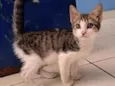 Tom