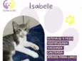 Isabelle