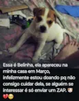 Belinha