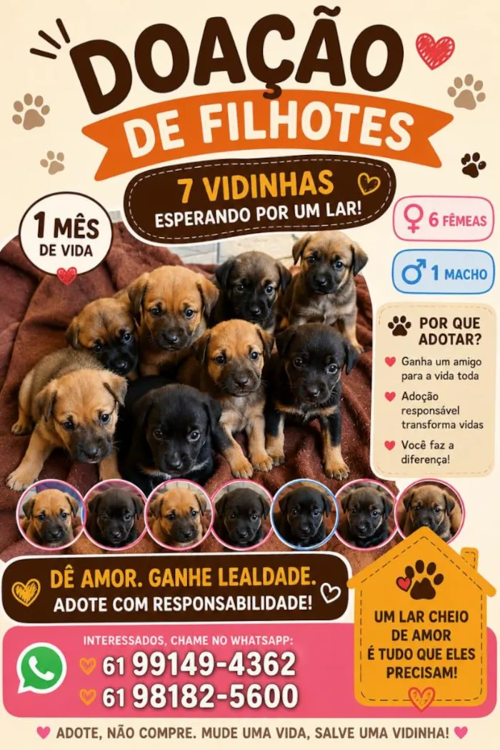 Cachorro raça SRD-ViraLata idade Abaixo de 2 meses nome vira latas 