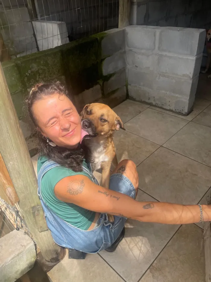 Cachorro raça SRD-ViraLata idade 3 anos nome Minnie