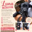 Luna