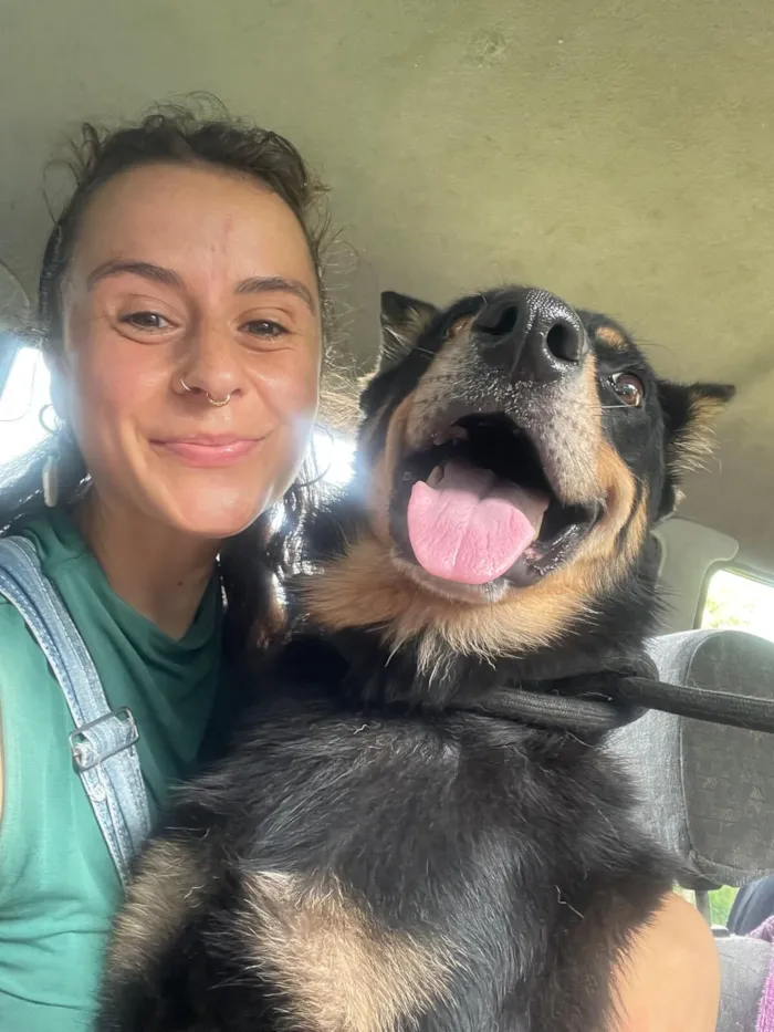 Cachorro raça SRD-ViraLata idade 4 anos nome Pedrinho 