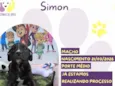 Simon