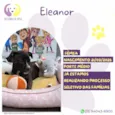 Eleanor