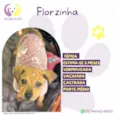Florzinha