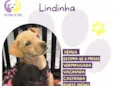 Lindinha