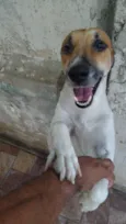 Bob