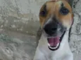 Bob