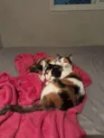 Luna e Gaia