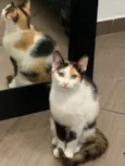Luna e Gaia