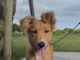 kiara