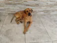 Astro 
