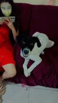 duda