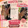 Pandora