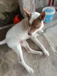não sei 