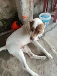 não sei 