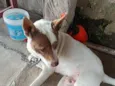 não sei 