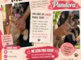 Pandora
