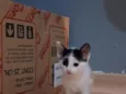 Melbi
