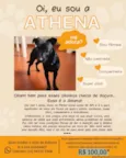 Athena