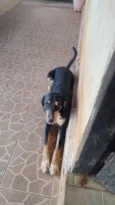 Teco