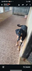 Teco