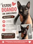 gatinho 