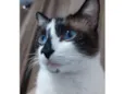 Bob