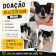 Floquinho