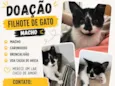 Floquinho