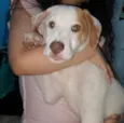 ainda sem nome 