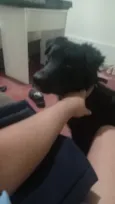 negão