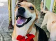 leona 