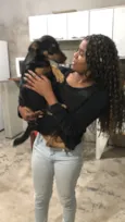 Apólo 