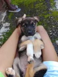 Princesa