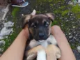 Princesa