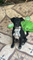 Billy
