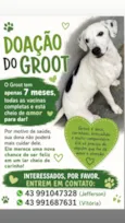 Groot