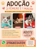 Jade e Rubi