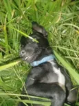 Zeus