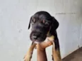 pretinho