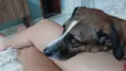 Athena