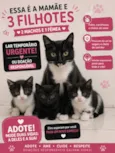 ainda não tem nome são 3 filhotes