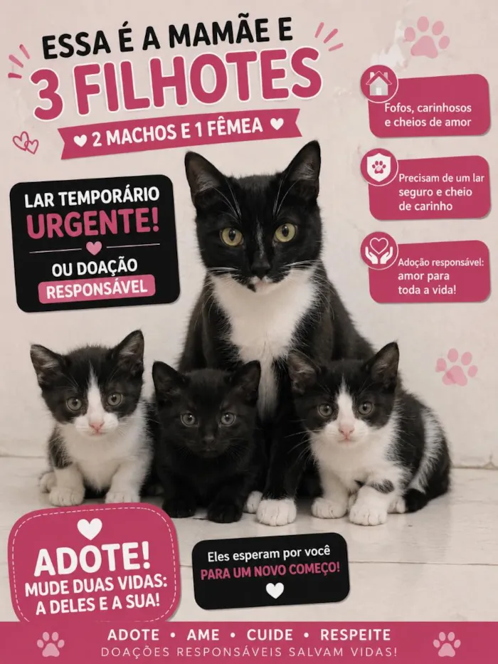 Gato raça SRD-ViraLata idade Abaixo de 2 meses nome ainda não tem nome são 3 filhotes